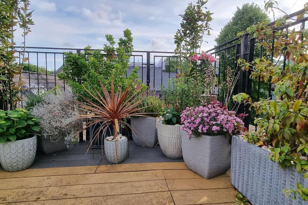 Highgate Maisonette With Roof Terrace Appartement